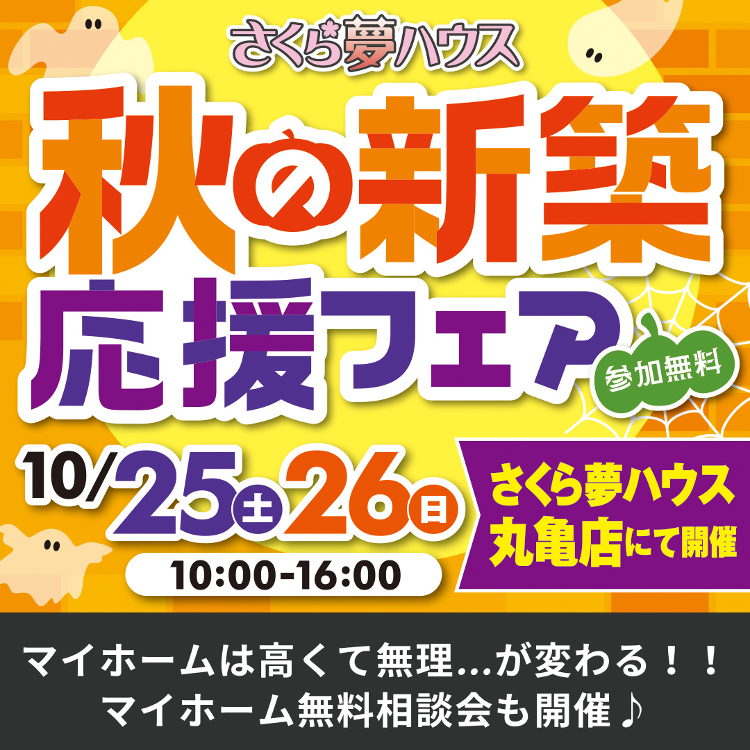フェス